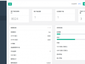 centos 宝塔搭建nps教程